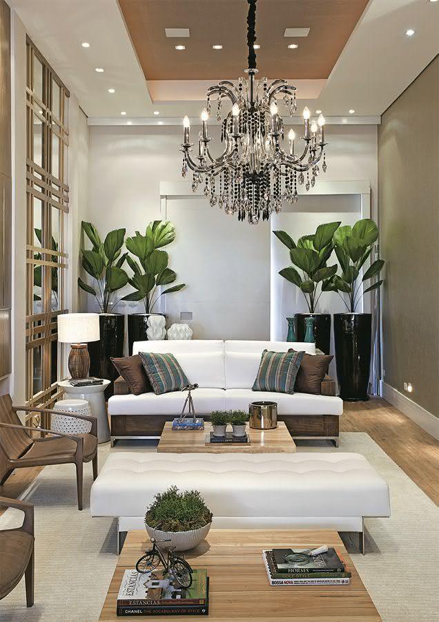 Decoracao De Sala De Estar Luxuosa ~ Imagem 49 – Vasos com plantas para decorar sala de estar Decoracao De Sala De Estar Luxuosa ~ Imagem 49 – Vasos com plantas para decorar sala de estar
