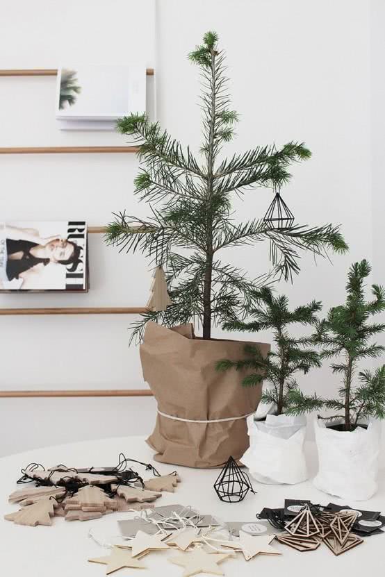 Utilize sua planta para montar uma árvore de Natal natural