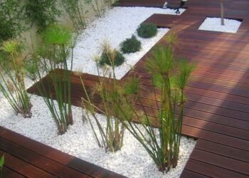 Jardim de inverno: 120 ideias sensacionais com dicas de especialistas