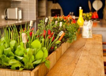 Horta em apartamento: 50 ideias para colocar em prática agora mesmo