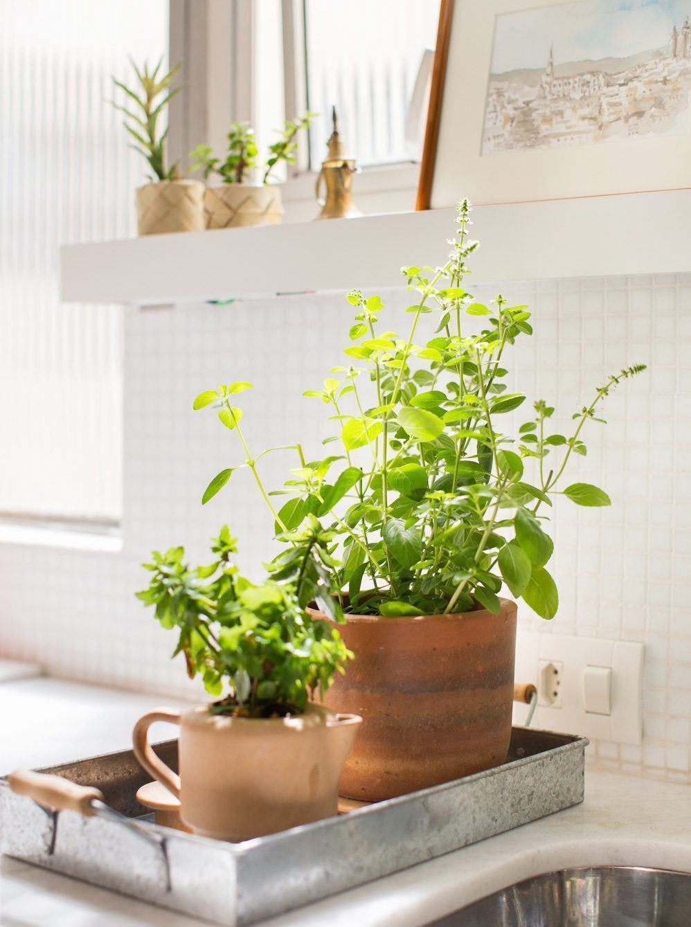 Os vasos são uma alternativa prática para deixar na bancada da cozinha.