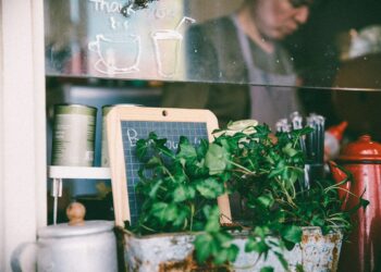 Horta em casa: como fazer e 68 ideias incríveis para colocar em prática