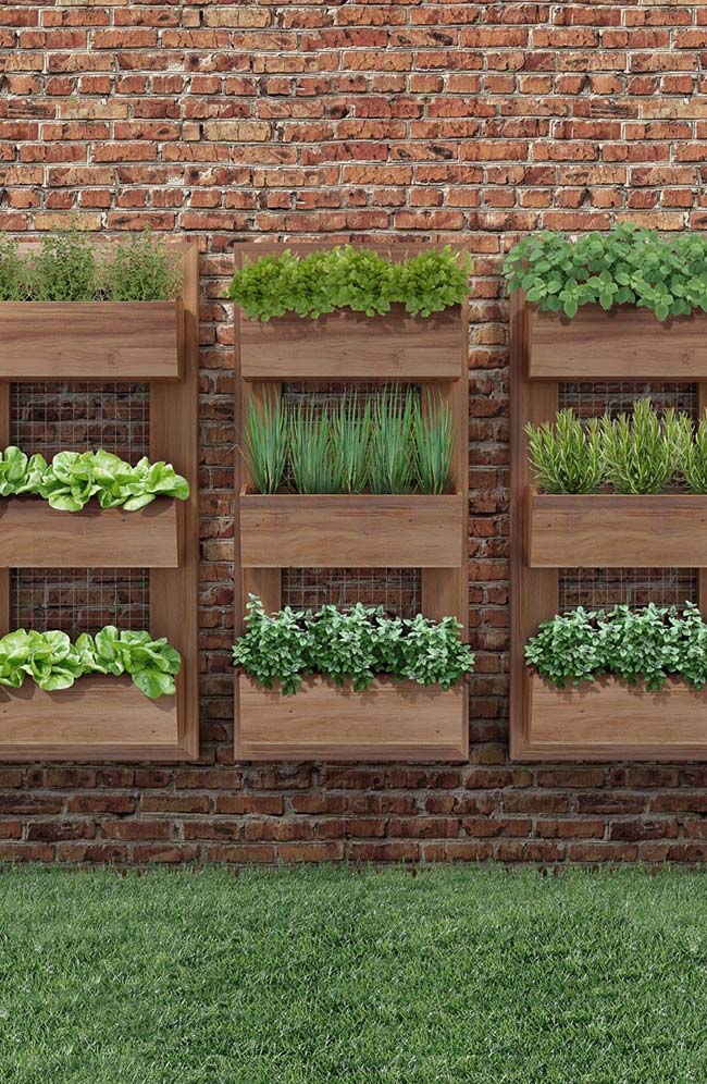 Herbs, vegetables and spices are great options for growing in residential vertical gardens.