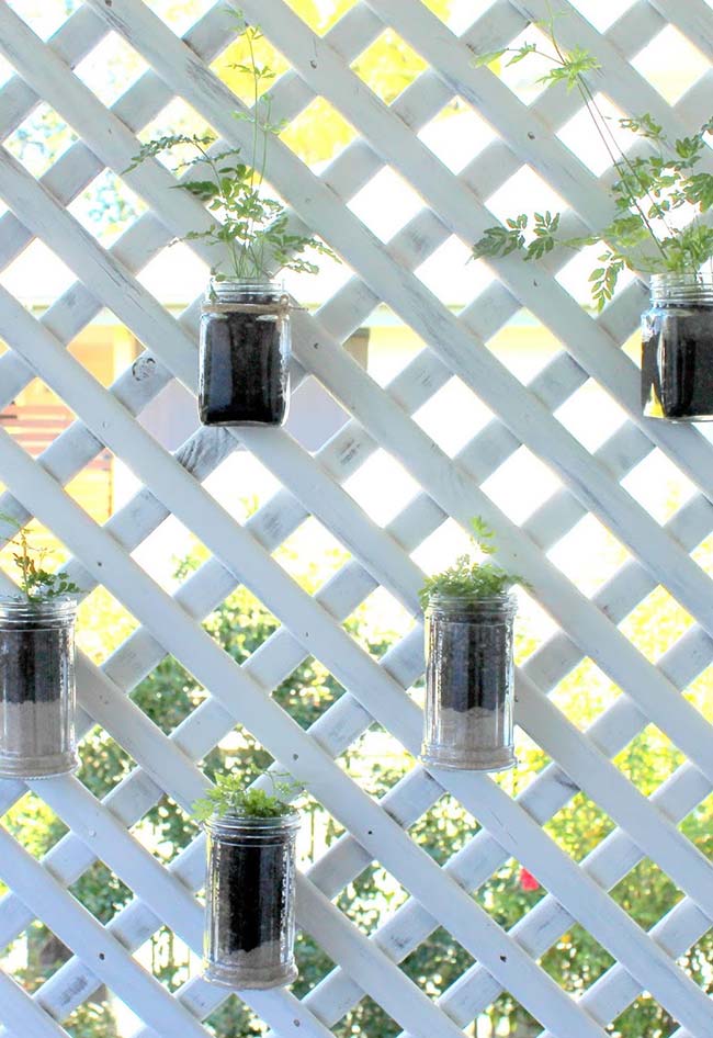 Wood panel holds glass pots that serve as pots for foliage seedlings