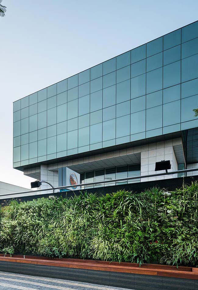 Green wall brings life and beauty to the facade of this building