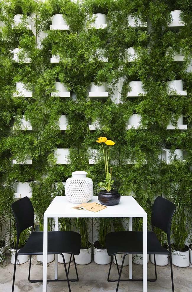 Vertical garden formed by a single species of hanging plant