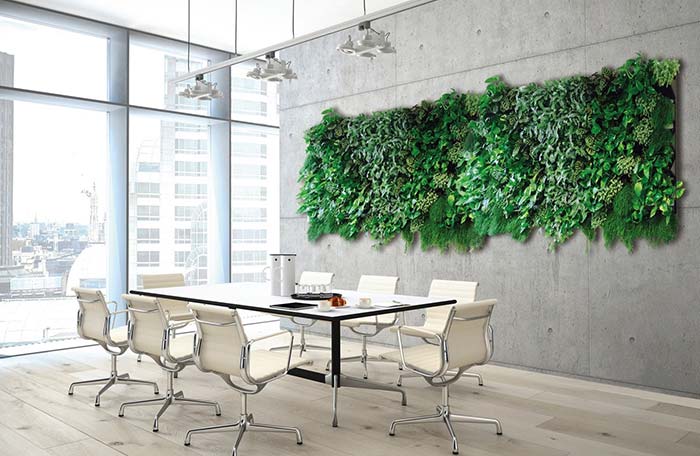 Vertical garden over exposed concrete wall makes work meetings lighter