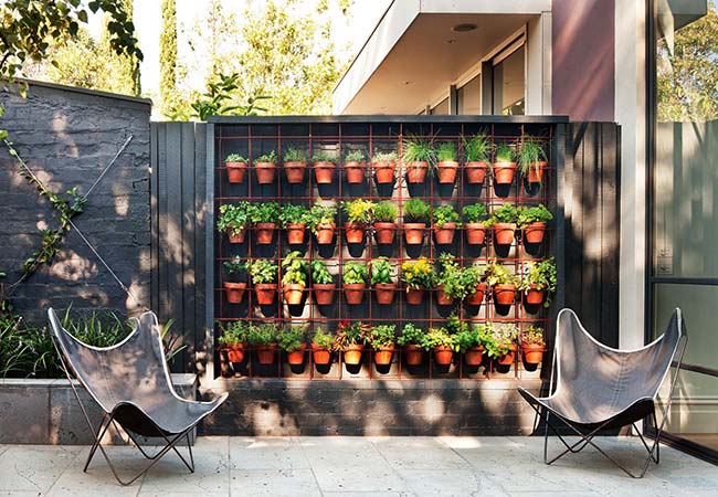 Wire mesh serves as support for herbs and spices clay pots