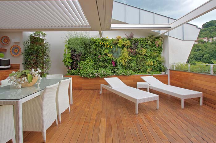 Glass ceiling ensures the luminosity that vertical garden plants need to grow