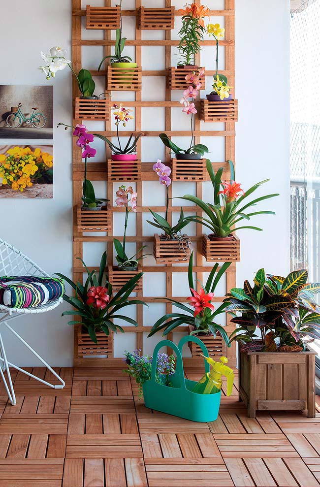 Vertical garden with bromeliads and orchids.