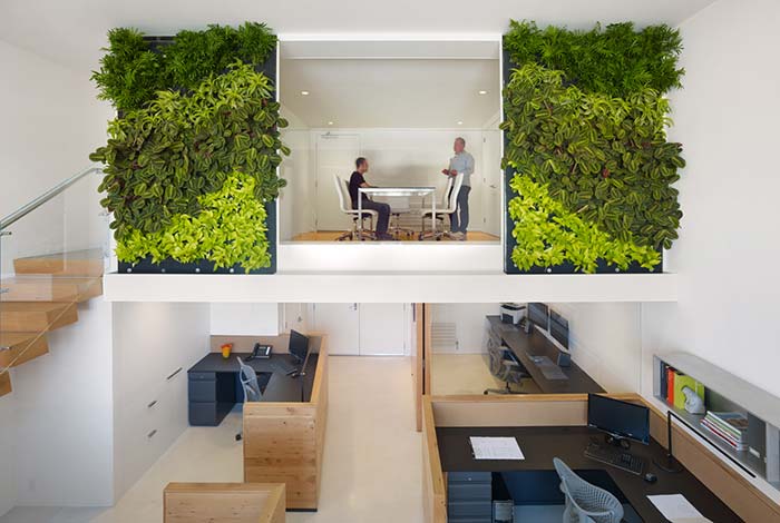 Vertical garden in corporate environment