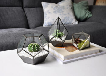 Terrário: plantas, como fazer passo a passo e 60 inspirações