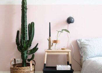 Cactos em casa: 60 inspirações para decorar com a planta