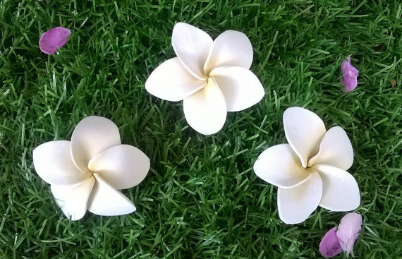 Modelo de flor branca para artesanato