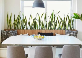 Espada de São Jorge: como cuidar e 100 ideias de ambientes com a planta