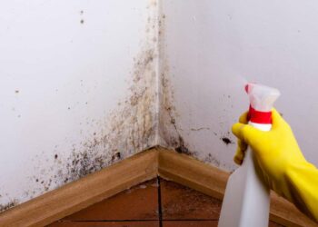 Como tirar cheiro de mofo: dicas caseiras para eliminar o problema