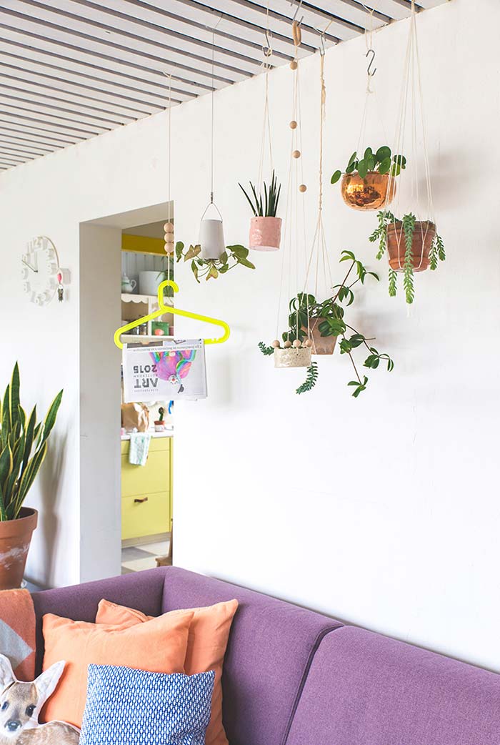 Plantas Para Sala: Principais Espécies + 60 Fotos de Decoração