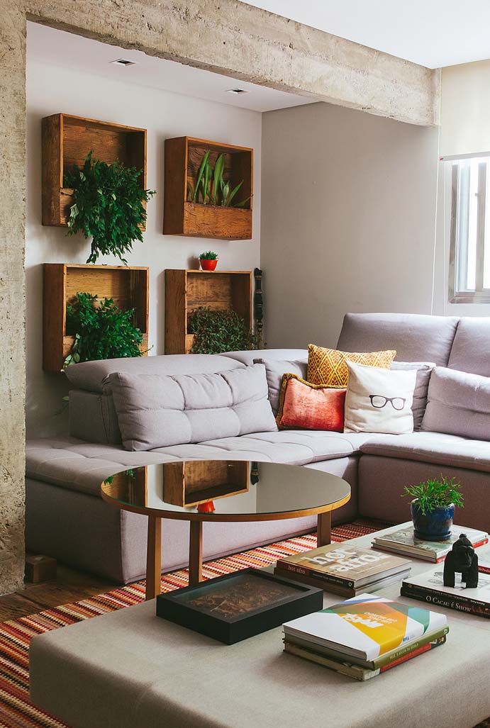 Plantas Para Sala: Principais Espécies + 60 Fotos de Decoração