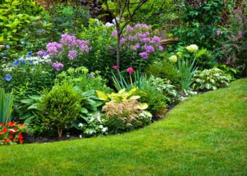 Plantas para jardim