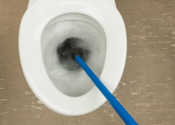 Como desentupir vaso: métodos eficazes com passo a passo fácil