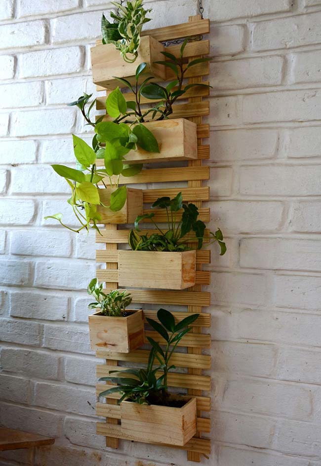 Jardim Vertical de Pallet: Descubra 60 Ideias e Como Fazer o Seu!