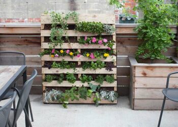 Jardim vertical de pallet: como fazer e 65 inspirações perfeitas