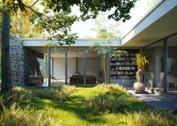 Grama preta: conheça as principais características e como plantar