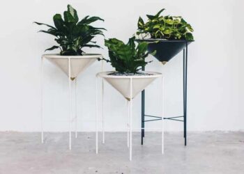 Vasos de plantas: saiba como escolher o tipo ideal para sua casa