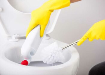Como limpar vaso sanitário: passo a passo e dicas profissionais