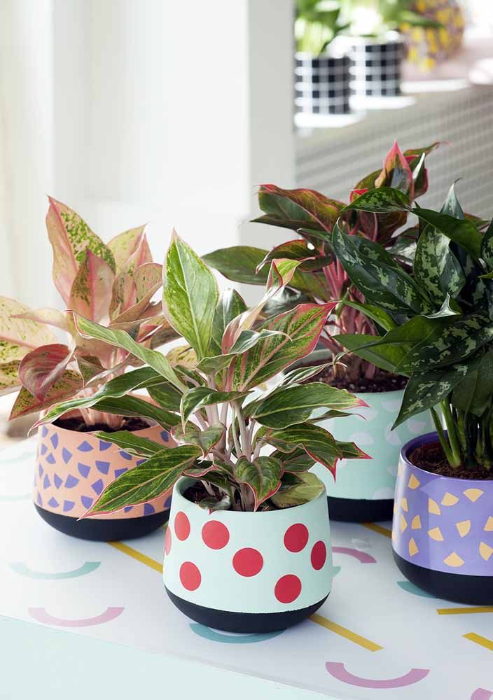 Plantas Para Banheiro: 35 Espécies e 70 Fotos Para Escolher