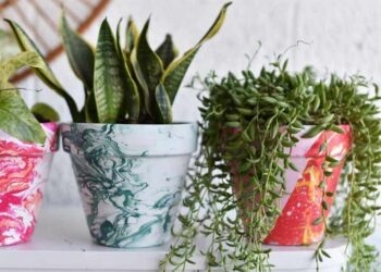 Cachepot: o que é, para que serve e 74 inspirações criativas