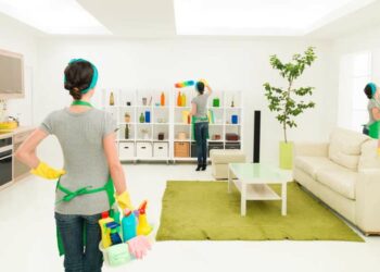 Limpeza de casa: geral