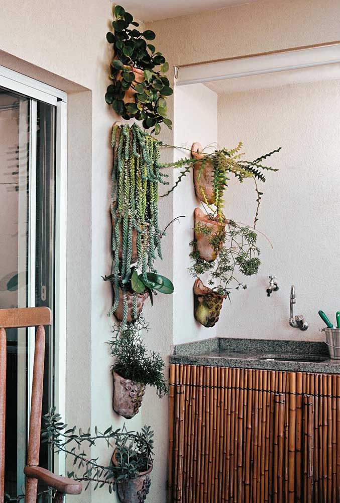 Uma boa pedida para usar o cacto macarrão na decoração é formando um jardim vertical com ele