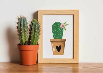 Tipos de cactos: 25 espécies para decorar e embelezar sua casa