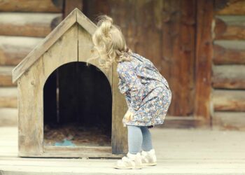 Como fazer casinha de cachorro: veja o passo a passo e cuidados essenciais