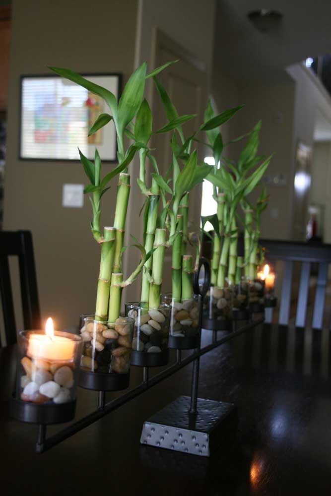 Use o bambu da sorte como enfeite da mesa de jantar, veja como fica linda a proposta 