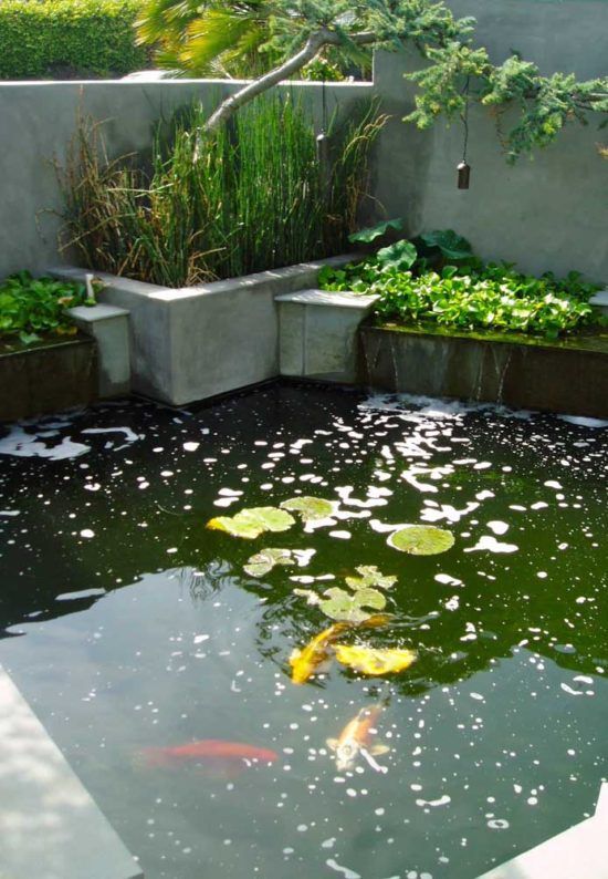 Lago Artificial O que é, Como Fazer, Cuidados e Fotos