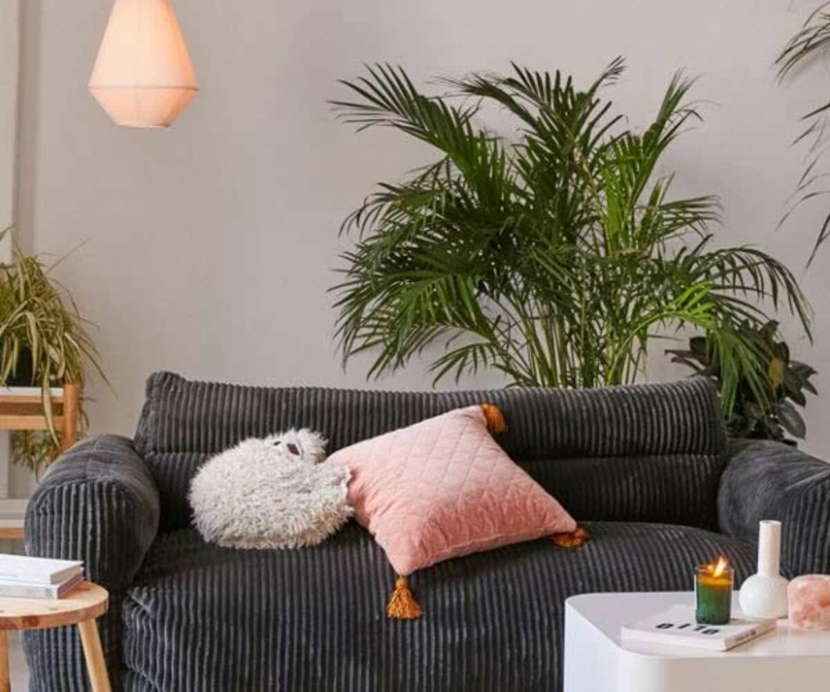 Tecido Para Sofa Como Escolher Dicas E Inspiracoes
