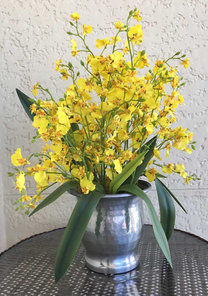 Orquídea Chuva de Ouro: essas orquídeas são cientificamente conhecidas como Oncidium, um gênero que passa de 600 espécies catalogadas