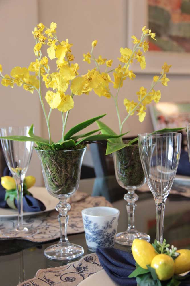 A orquídea Chuva de Ouro é popular pela sua beleza delicada, alegre e, claro, pelo tom amarelo dourado de suas flores, o que a torna um espetáculo para decorações de interiores