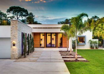 Palmeira imperial: como cuidar, dicas e ideias de paisagismo