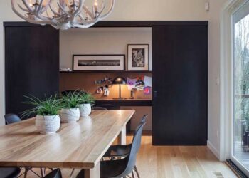 Plantas para dentro de casa: as principais espécies para você escolher