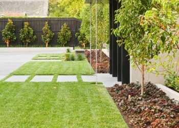 Tipos de grama: veja as características de cada para acertar em cheio