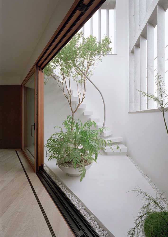 Jardim de inverno feito em vasos; destaque para o contraste formado entre o branco das paredes com o verde das plantas