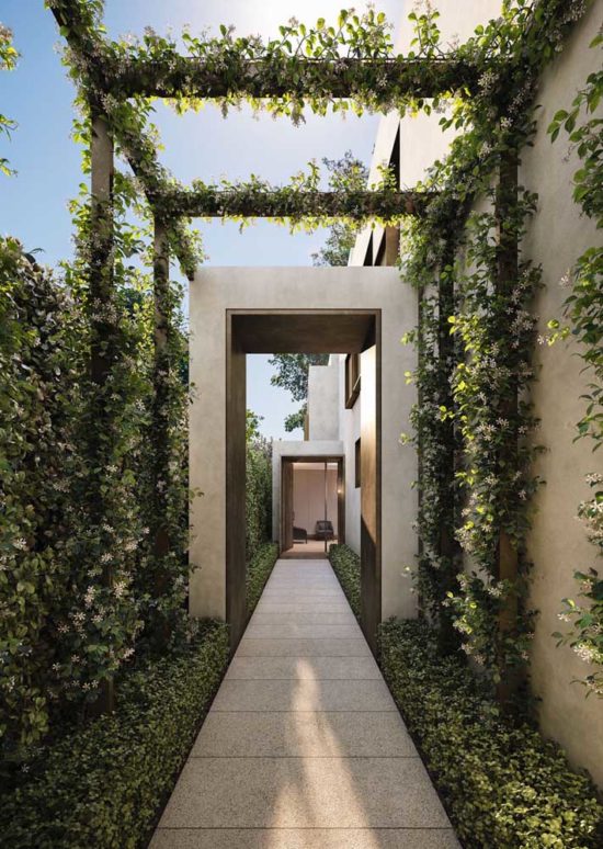 Trepadeiras Para Dentro De Casa Trepadeira: Espécies, Cuidados e Fotos de Decoração com a Planta