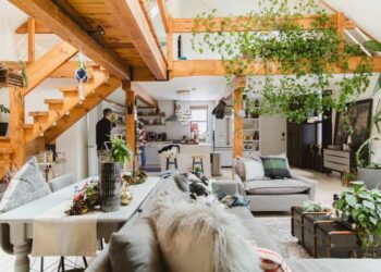 Trepadeira: espécies, cuidados e dicas para decorar com a planta