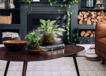 Kokedama: o que é, como fazer passo a passo e inspirações