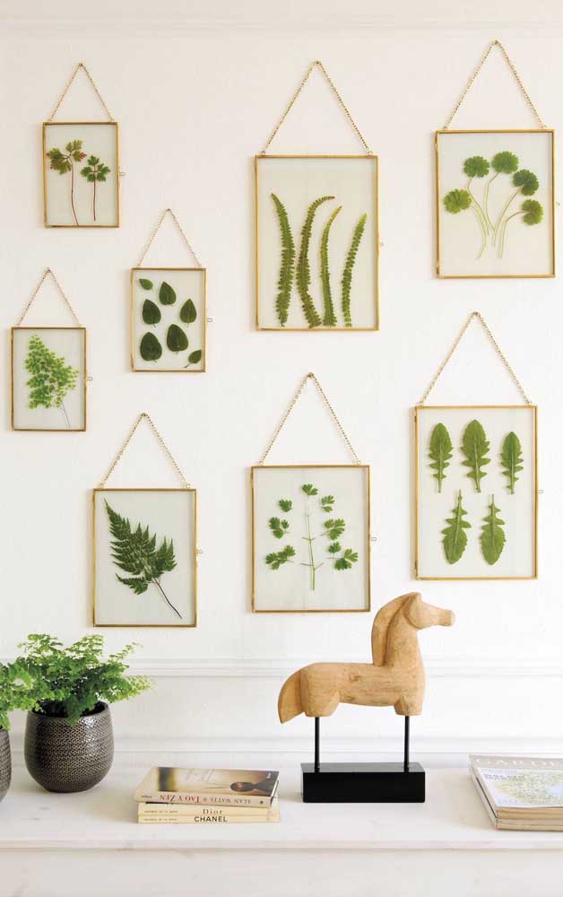 Seleção de quadros “vivos” com amostra de plantas variadas; uma maneira criativa de levar o verde para a decoração no melhor estilo Tumblr