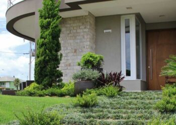 Kaizuka: características, como cuidar, plantar e ideias de paisagismo