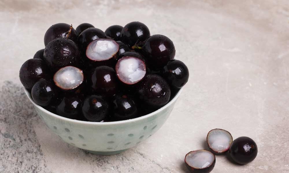 Como Fazer Muda de Jabuticaba: Veja Dicas Essenciais